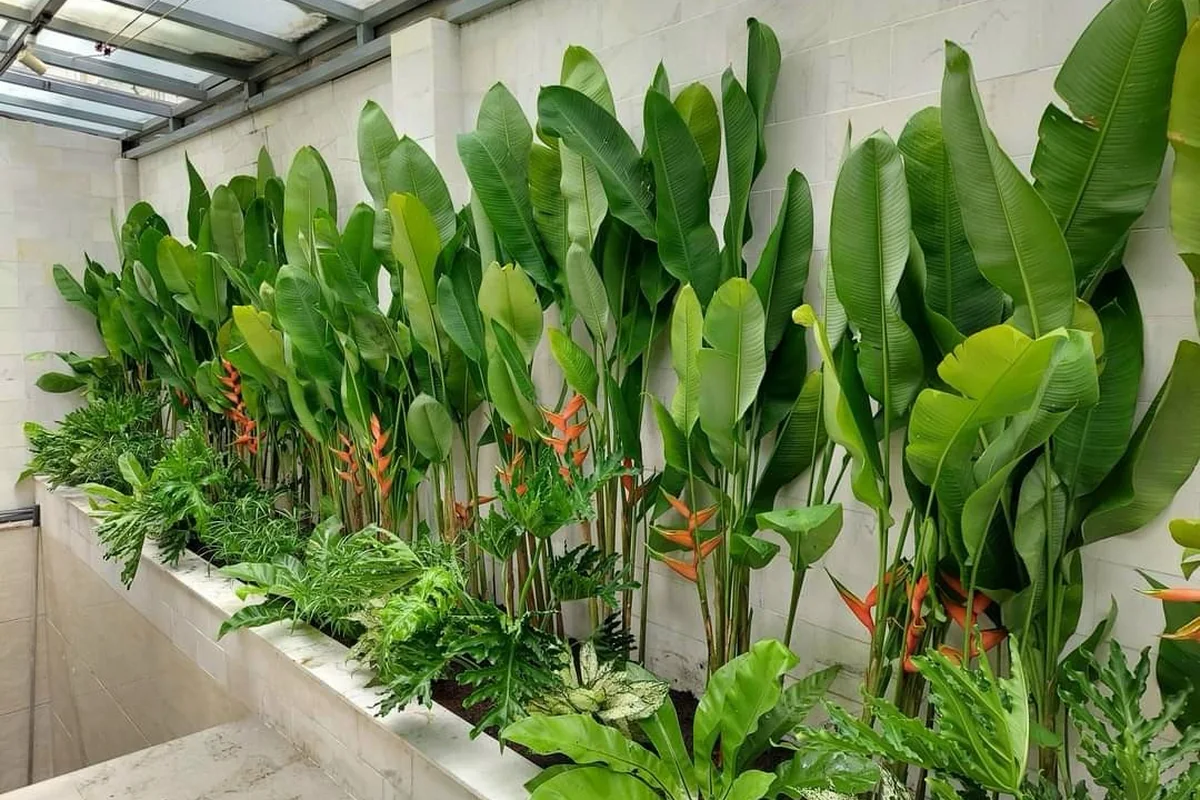 Gợi ý cây xanh quà tặng ý nghĩa cho doanh nghiệp
