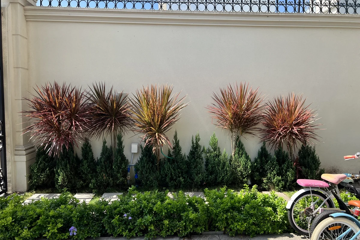 Hạ tầng ngầm và kỹ thuật hồ cá Koi chuẩn Nhật KTH Garden