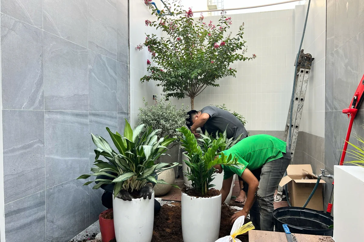 Tiểu Cảnh Nội Thất Khô Sảnh Doanh Nghiệp - KTH Garden