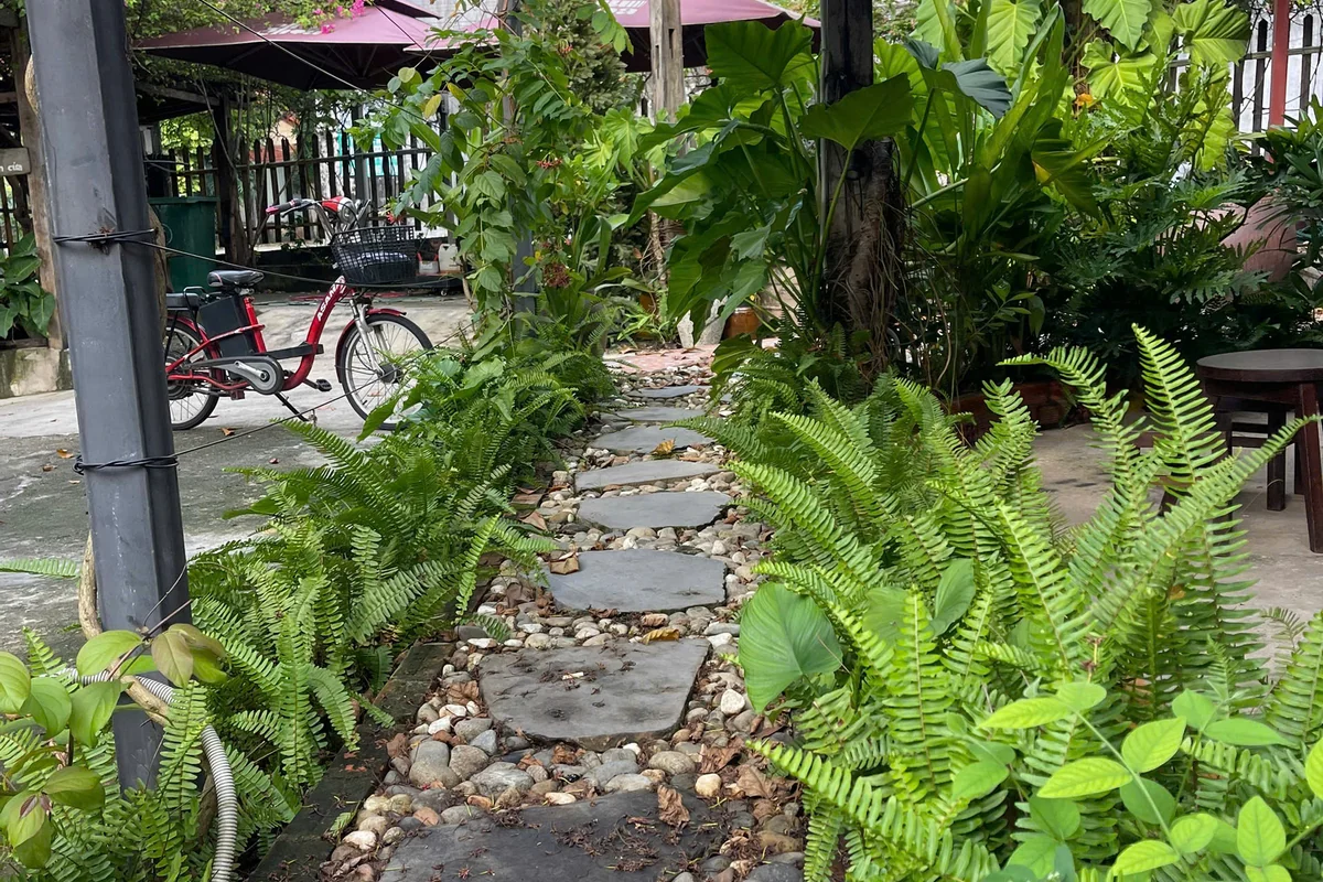 Bảo Trì Hệ Lọc Hồ Koi & Tưới Tự Động - KTH Garden