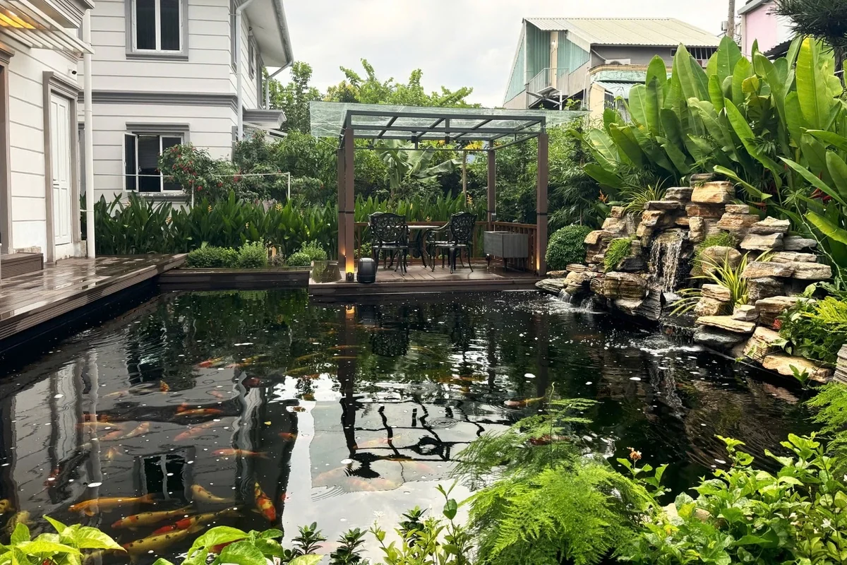 Tiêu chuẩn kỹ thuật xây hồ cá Koi & thiết kế hệ lọc vi sinh 6 ngăn chuẩn Nhật không rêu tảo