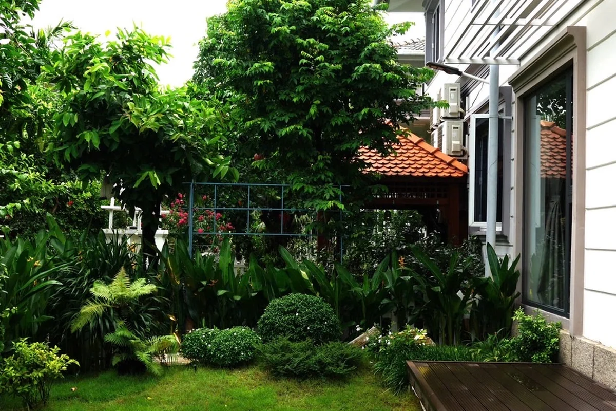 Hạng mục đá bước dạo tự nhiên trên thảm cỏ Nhung Nhật kết nối hiên gỗ biệt thự