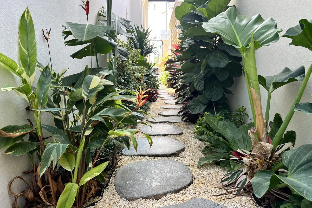 Thi công đá bước dạo bazan khò nhám chống trơn trượt xen sỏi cuội và cây bụi nhiệt đới tại công trình