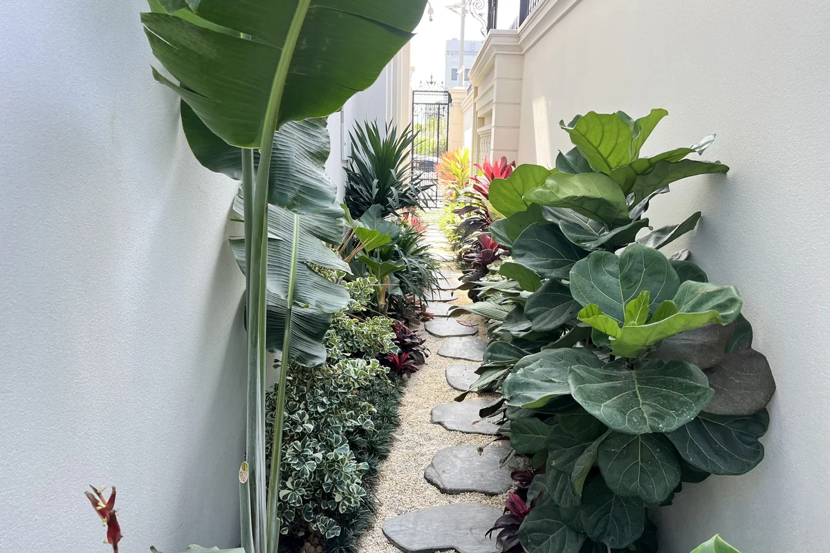 Lối đi sân vườn biệt thự hoàn thiện với hệ thống thoát nước ngầm và thảm cây nhiệt đới