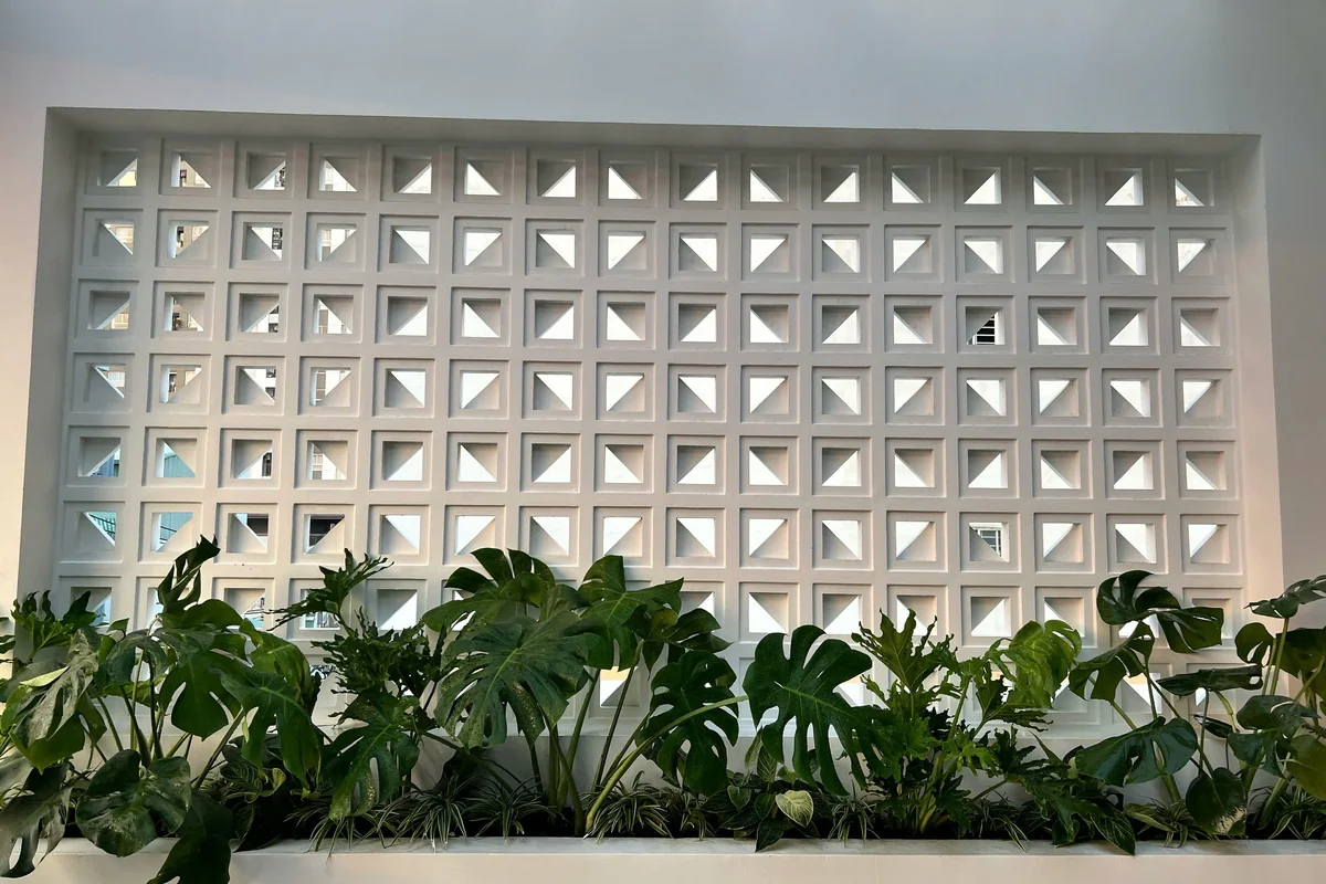 Bồn cây Trầu Bà Thanh Xuân phối tường gạch bông gió giúp giảm 5°C–7°C bức xạ nhiệt hướng Tây