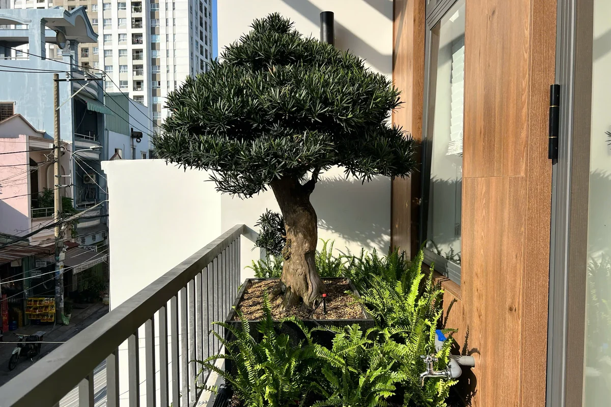 Lịch chăm sóc & bảo dưỡng cảnh quan sân vườn 12 tháng: Cắt tỉa định hình, dinh dưỡng hữu cơ & phòng sâu bệnh sinh học