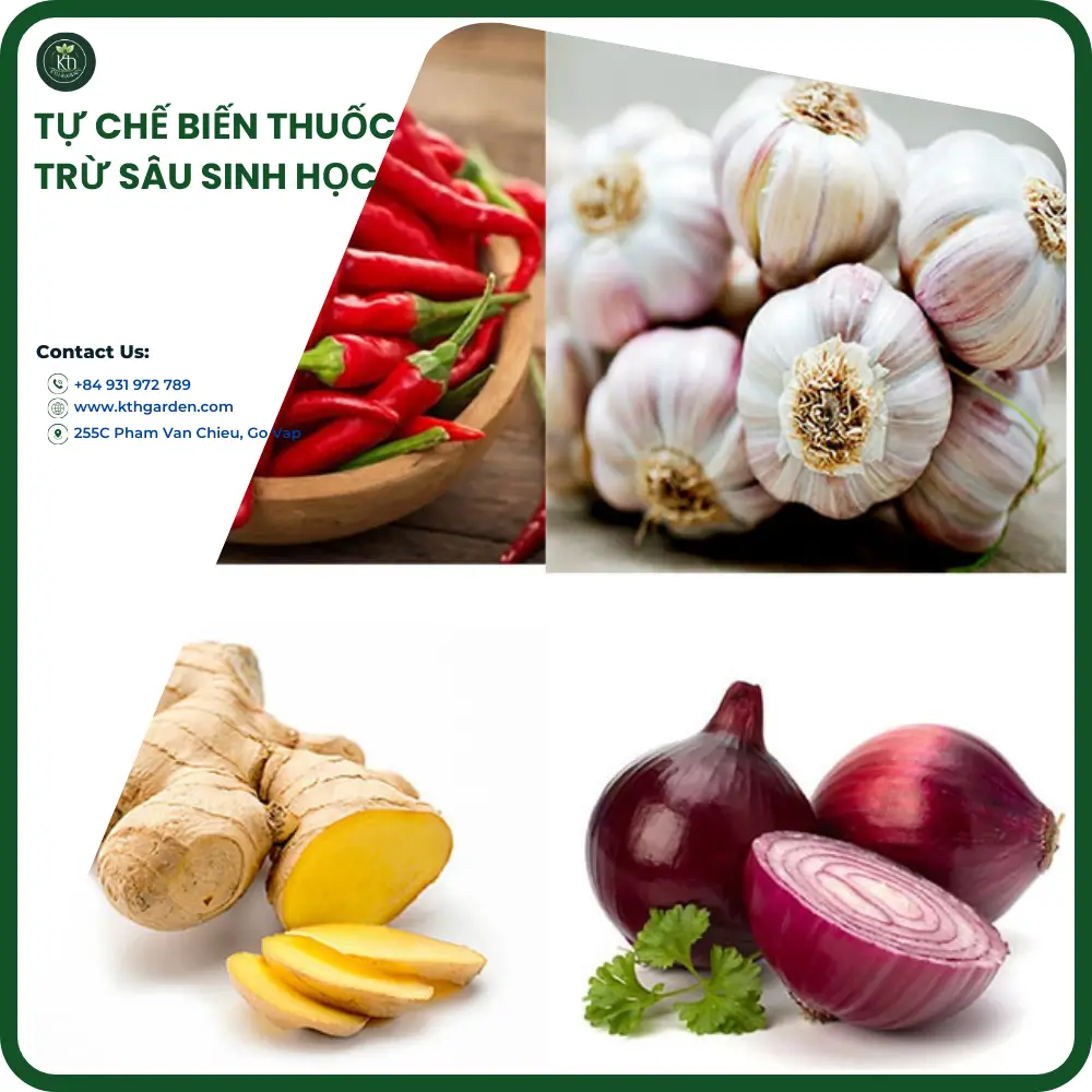 Tự chế biến thuốc trừ sâu sinh học