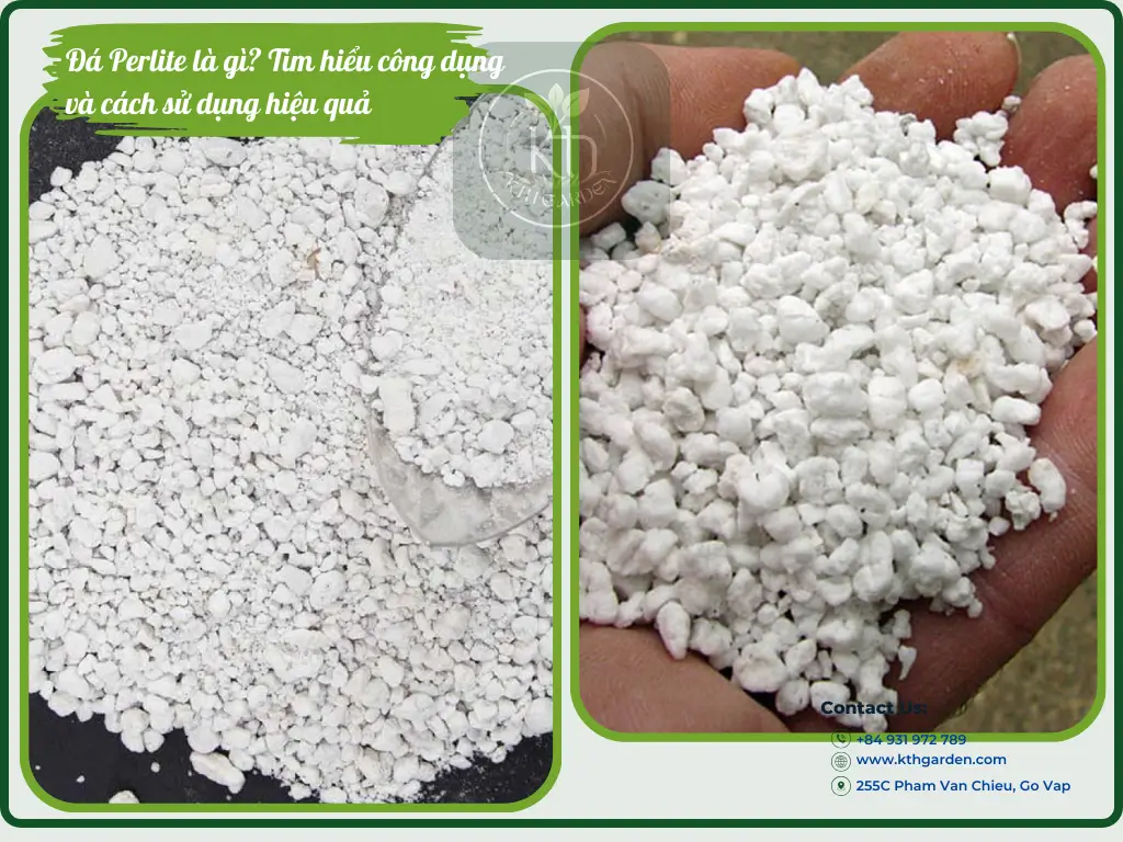 Đá Perlite là gì? Tìm hiểu công dụng và cách sử dụng hiệu quả