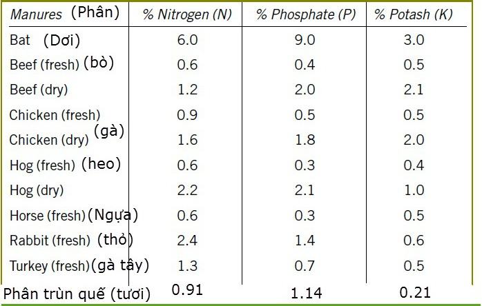 So sánh phân trùn quế với các loại phân bón khác