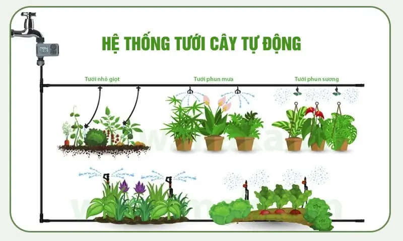 Hệ thống tưới cây tự động với tưới nhỏ giọt, phun mưa, phun sương cho vườn nhà.